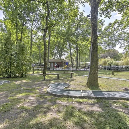 Le Repaire Des Chatons - 15min Dune Du Pyla